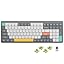 Interruptor Gateron Aloe