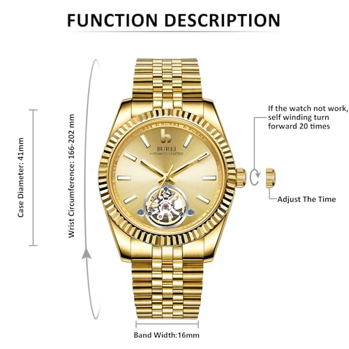 Image of BUREI Men's Classic Luxury Watch Stainless Steel Waterproof Machine Watch Fashion Double Watches Date Sapphire Crystal