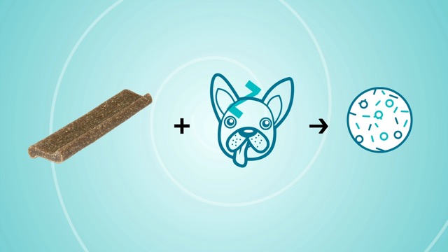 Virbac CET Veggiedent FR3SH Tartar Control Chews for Dogs, Medium (Pack of 30)Beef,1.6 pounds - Image 8