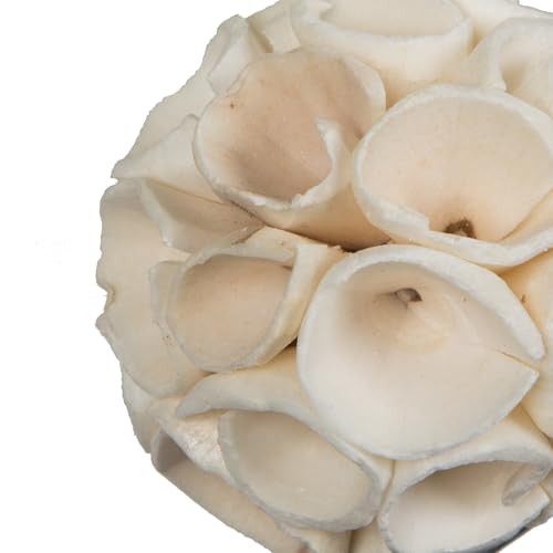 Sola Crape Ball Vickerman planta seca sin mantenimiento, esferas marrones decorativas, 50 ud 2