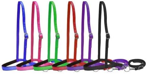 Showman Banda nasal de nailon prémium con correa