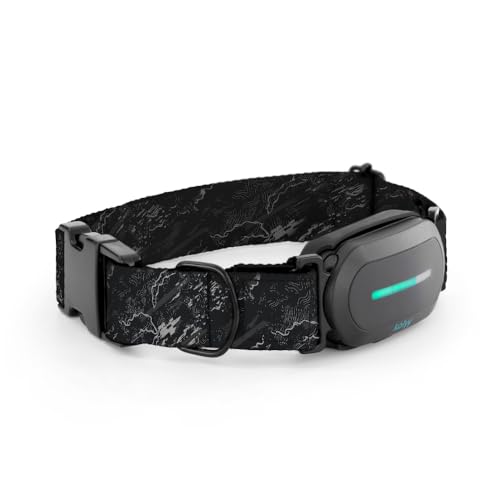 Kolyy Series 2 - Collar GPS para Perros Control vía App - Localización Internacional en Tiempo Real - Salud Seguimiento - 3 Zonas Seguras - Hecho en España (Negro, M)