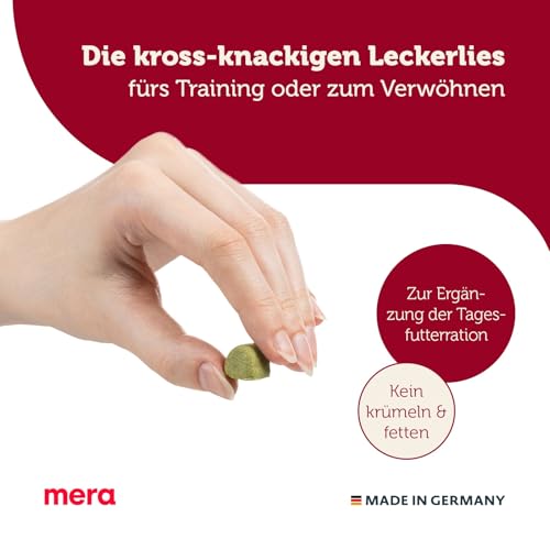 MERA Bakery Mini Tandem Mix 10kg | Kleine Hundeleckerli für Training & Belohnung | Knusprige Hundesnacks Mix| Ofengebackene Hundekekse ohne künstliche Farb- & Konservierungsstoffe