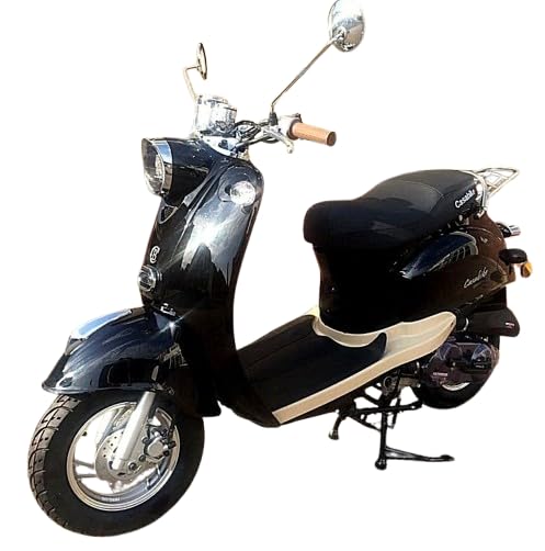 Gepäckträger hinten A Modell Roller Znen Retro Venus Fosti Minime Scooter Nova Alpha Burnout Casabike