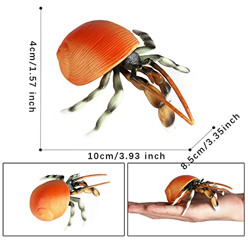 Hiawbon 4 Pcs Hermit Crab Figurines Realistic Sea Creature Model Plastic Beach Animals Action Figure For Birthday Party Collection Gifts #TOP1