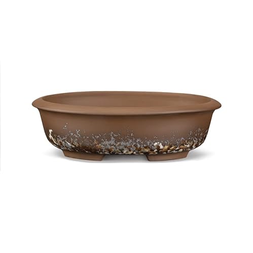 CERTRE - Vaso Bonsai Ovale in Gres, Modello Treviso, Made in Italy, Colore Maculato Nocciola (Gres)| Misure esterne 25x19x8 cm