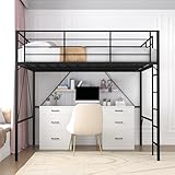 Realhotan 75Inch Queen Loft Bed with Ladder and High Guardrail, No Box Spring Required,Space-Saving,No Sagging Metal Slat Support Heavy Duty Bedframe, Black