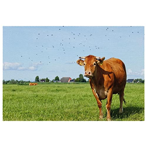 Set de table vache lavable et antidérapant protégeant de la chaleur