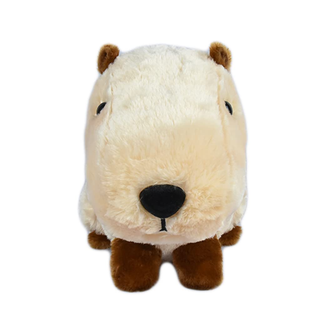Amazon.co.jp: のほほんカピバラちゃんBIGカピちゃん 大702911