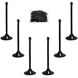 Mr. Chain 71003-6 Black Plastic Stanchion Kit with 50' of 2