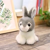 Amazon.co.jp: [LSDZW] 兎 ぬいぐるみ ホワイト うさぎ かわいい