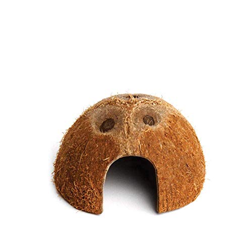 Casetta Per Tartarughe Di Terra In Legno - Terrario 48x42x30 Cm Con Piedini, Design Colorato E Pratico