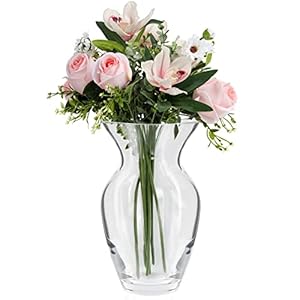 Belle Vous 18cm Clear Glass Vase – 3.5mm thick Modern & Decorative Crystal Vase – Transparent Cylinder shape Glass Flower Vase for Home/Wedding Table Centrepiece and Office Decor