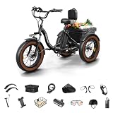 PUCKIPUPPY Alaskan Electric Trike