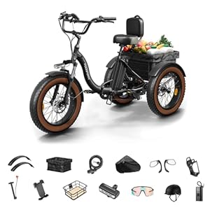 PUCKIPUPPY Electric Tricycle for Adults Alaskan, Rear Motor PUCKIPUPPY Electric Tricycle for Adults Alaskan, Rear Motor