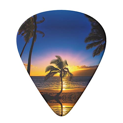 Hawaii Beach Lot de 6 médiators pour guitare acoustique, guitare électrique, basse, ukulélé – fin, moyen et épais - Les Beatles, Paul McCartney, John Lennon, RIngo Starr, George Harrison Hawaii Beach Lot de 6 médiators pour guitare acoustique, guitare électrique, basse, ukulélé – fin, moyen et épais – Image 4