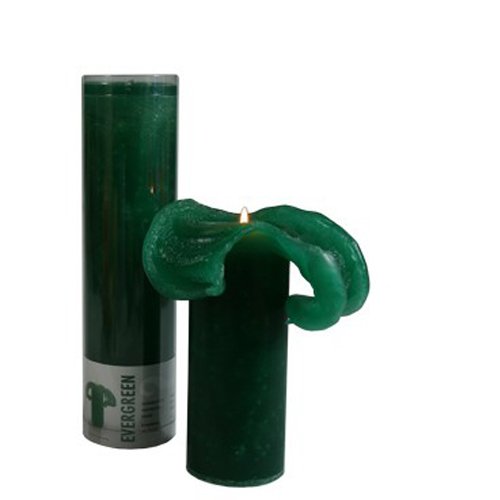 Candela profumata Evergreen