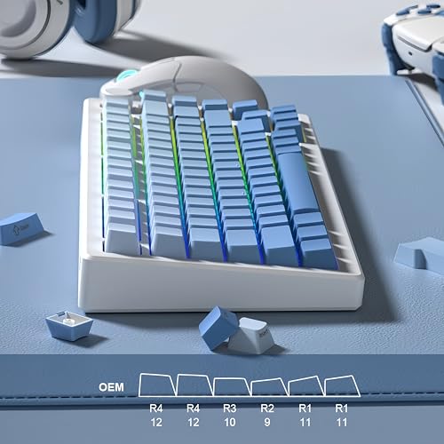 Image of dagaladoo Shine Through Keycaps PBT,Side Printed keycap 75 Percent,Doubleshot keycaps Set,Gradient Blue keycaps,Cherry Profile for Mechanical Gaming Keyboards(121 Key,only keycap