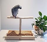 [page_title]-TISCHFREISITZ Freisitz für FENSTERBANK Papageien Freisitz Papageienspielzeug