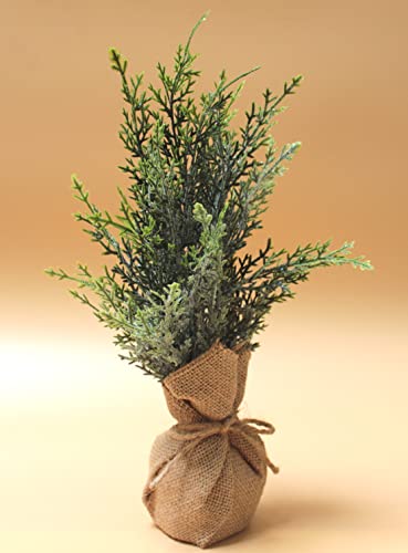DARO DEKO Kunstpflanze Konifere eingetopft im Jute-Sack 13 x 36cm künstliche Zypresse Lebensbaum Thuja
