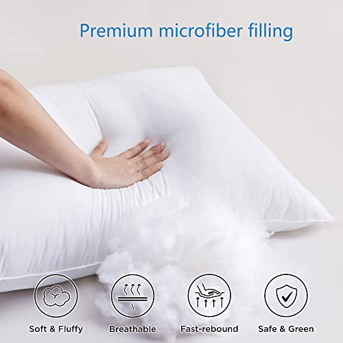 Image of Acteb Flat Thin Pillows Queen Size Set of 2 Pack Bed Basic Sleeping Pillow for Stomach Sleeper 20x30 Inches
