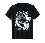 MyAnimal - Border Collie
