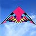 FYMIJJ Cerfs Volants,Haute qualité Grand Delta cerf-Volant Jouets Volants Ripstop Nylon Sport cerf-Volant Bobine Dragon cerf-Volant Parachute, 3.7 m cerf-Volant