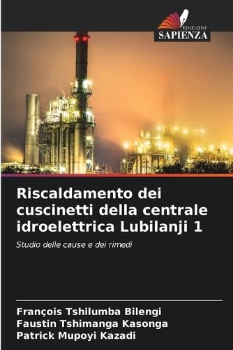  Riscaldamento dei cuscinetti della centrale idroelettrica Lubilanji 1: Studio delle cause e dei rimedi