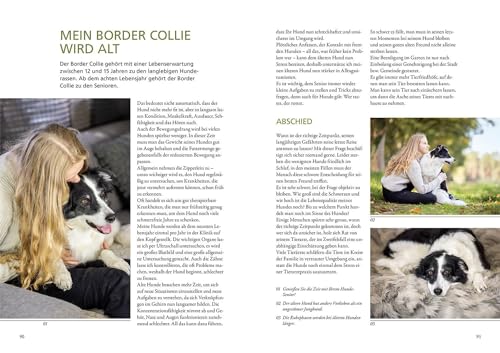 Border Collie: Auswahl, Haltung, Erziehung, Beschäftigung (Praxiswissen Hund)