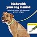 PetSafe Nylon Leash - Strong Nylon Dog Leash for Everyday Walks - Durable Pet Leash with Quick Attach Leash Clip - Comfortable Soft Grip - 6 Feet - Apple Green