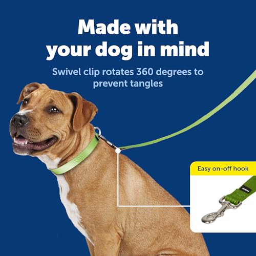 Image of PetSafe Nylon Dog Leash - Strong, Durable, Traditional Style Leash with Easy to Use Bolt Snap - 3 /4 in. x 6 ft., Apple Green