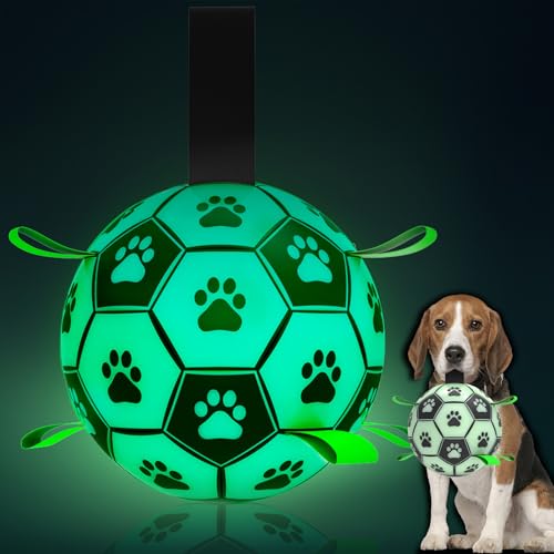 HETOO Hundespielzeug, Hundeball mit Nylon Seil, Premium Hundefußball Spielzeug für Mittlere Große Hunde Indoor & Outdoor Unterhaltung (8 Zoll Glow in Dark)