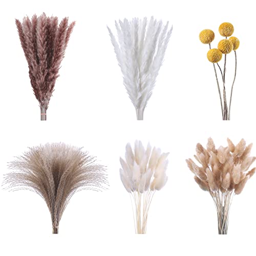 Sotue 125 Pcs Dried Pampas Grass 17 Inch White Pompas Bouquet Fluffy Dry Pompous Bunny Tails Flowers Small Pompass For Boho Room Home Farmhouse Decor Wedding Pampass Flower Arrangement Decorations #TOP27