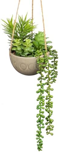 Hollyone Artificial Hanging Plants, Fake Potted Succulents with Hemp Ropes, Faux Trailing Plant Decorative Greenery Indoor Outdoor for Home Decor, Garden, Balcony, Living Room, Kitchen Decorations