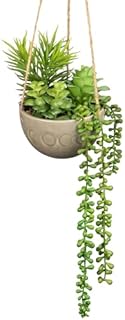 Hollyone Artificial Hanging Plants, Fake Potted Succulents with Hemp Ropes, Faux Trailing Plant Decorative Greenery Indoor Outdoor for Home Decor, Garden, Balcony, Living Room, Kitchen Decorations