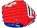 Rawlings Youth Glove 9