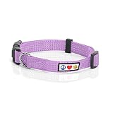 Pawtitas Reflective Dog Collar with Stitching Reflective Thread | Reflective Dog Collar with Buckle