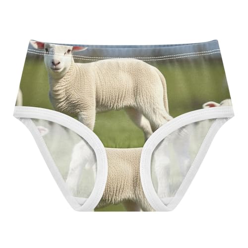Funny Girls Underwear Toddler 2t Cotton Panties for Girl Cute Lambs Meadow Briefs Kids Undies