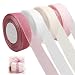 AINIUNIU 4 Rotoli Nastro in Organza Trasparente, 2,5 cm x 45