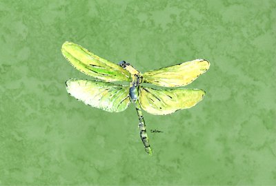 CoolCookware Dragonfly On Avacado Fabric Placemat