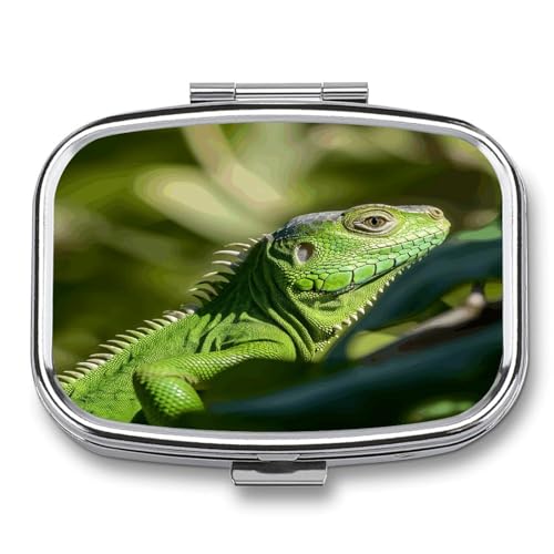 XNGAs{bNXAO[gJQsP[XA2Rp[ggs{bNXAz|Pbgp̃|[^usI[KiCU[