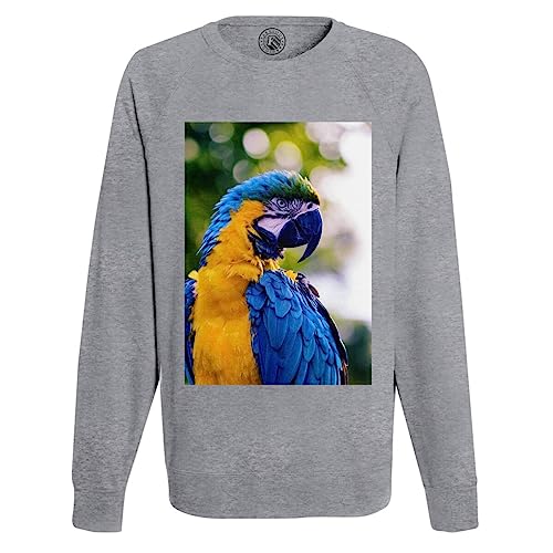 Sweat-Shirt Homme Perroquet Ara Bleu confortable pour le quotidien