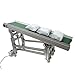 WYDDDARY PVC Flat Belt Conveyor Aluminum Conveyor Machine 59x11.8inch Industrial Transport Conveyor 110V 120W Adjustable Speed Inclined Electric Conveyor Green