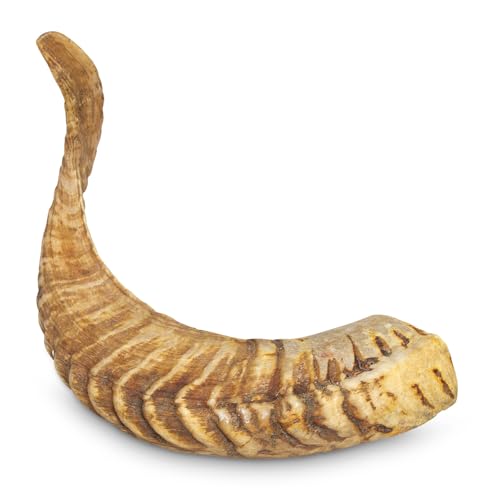 Corne de Mouton - Taille: L (Plus de 200g) - pour Chiens