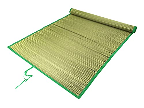 Preisvergleich Produktbild Gravidus Strandmatte Grasmatte Liegematte Matte 180 x 60 cm