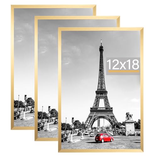 kennethan Picture Frame Wall Gallery Poster Frames Horizontal or Vertical Wall Mounting (Gold 12x18-3 Pack)