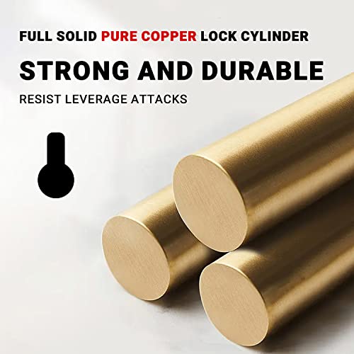 Himiway Bike Cable Lock 5 Digit Combination Heavy Duty Anti Theft Bike Locks 4 Ft 12Mm Bike Lock Cable For Outdoor Equipment Bicycle Lock High Security Cable Bicycle Locks For Road & Mountain Bike #TOP3