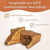 Wildfang® Kauwurzel aus Baumheide für Hunde, Größe S - Natürliches Kauspielzeug Hund, splitterfreies Hundespielzeug unzerstörbar zur Zahnpflege Hund & Welpenspielzeug (für Hunde unter 15 kg), 1 Stück