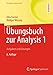 Produktbild Übungsbuch zur Analysis 1: Aufgaben und Lösungen (Grundkurs Mathematik)