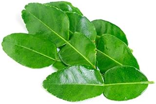 Fresh Makrut (Kaffir) Lime Leaves - 0.5 oz